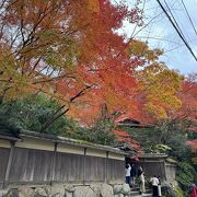 紅葉の季節は事前予約が必要