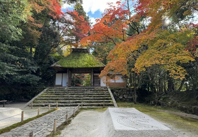 京都法然院歳時記 f1d78_0004234663_1.jpg