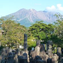 墓前に背に桜島が聳えます