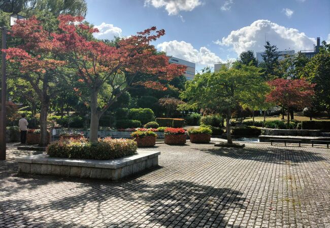 青森市真ん中の緑地公園