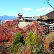 素晴しい紅葉！