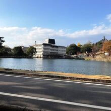 《猿沢池》湖畔にて撮影