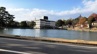 現在、修理中ですが、ライトアップされた興福寺の五重塔が池に写る風景は奈良八景の一つだそうです。