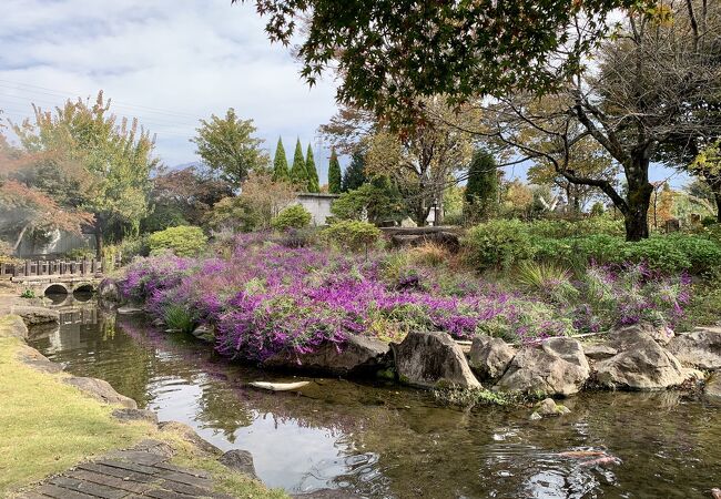 美しい庭園