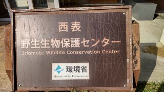 西表野生生物保護センター