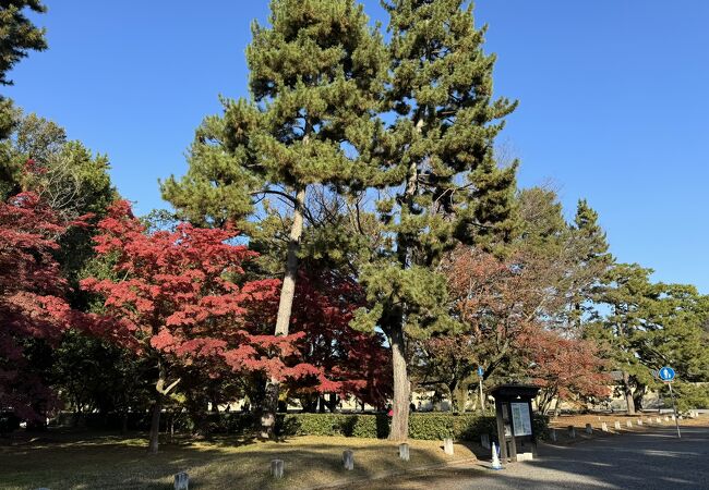 京都御苑へは、周囲の１０カ所ほどの門から入ることができる