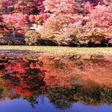 花と歴史の郷蛇の鼻