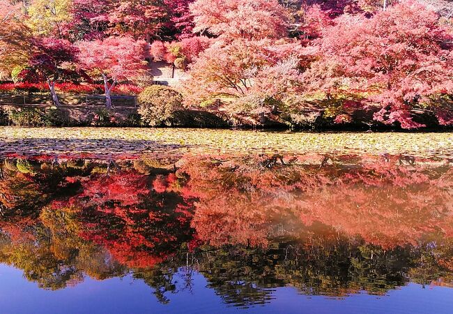 花と歴史の郷蛇の鼻