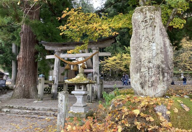 白川八幡神社