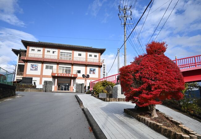 犬の博物館って珍しい！さすが！秋田犬！国の天然記念物！