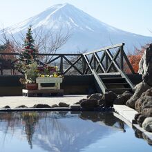 ハーブ庭園旅日記 富士河口湖庭園