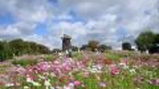 花博記念公園 鶴見緑地