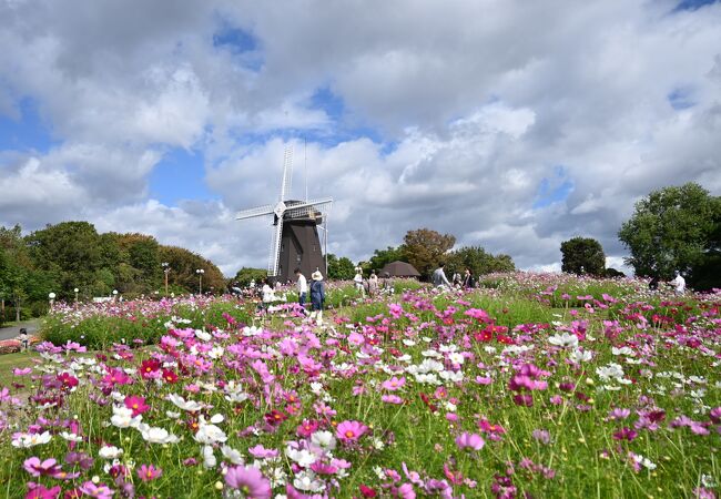 花博記念公園 鶴見緑地