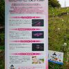 海辺で行われるライトアップイベント