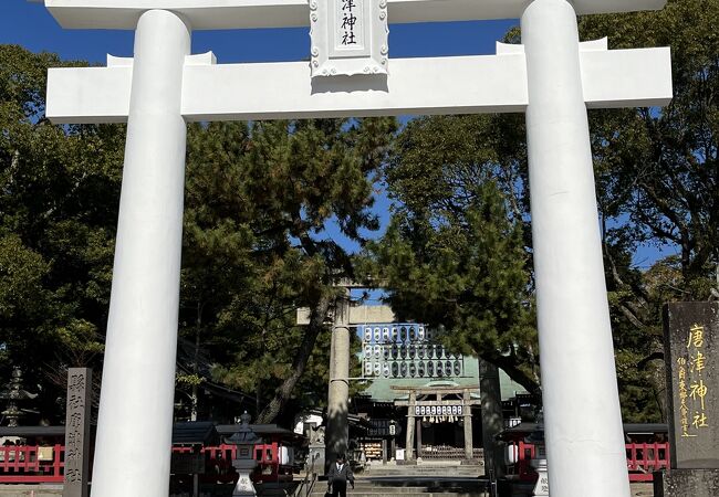 立派な神社。唐津くんちはこちらの神社の例大祭