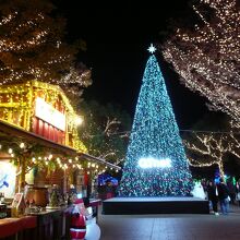 シンボルのイルミネーションツリー！