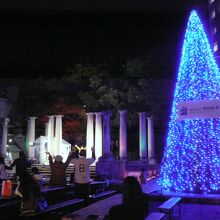 ライブコンサート中♪