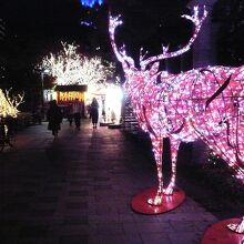 大きなトナカイも