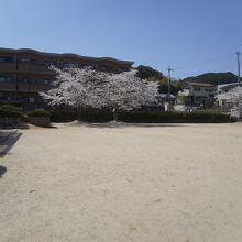 石山公園