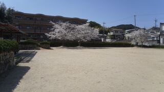 地元の人が利用する都市公園のような公園