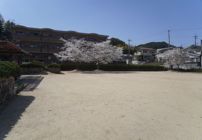 地元の人が利用する都市公園のような公園