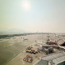 スカイブリッジからの眺め