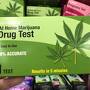 Dollar Tree (Kalamazoo)