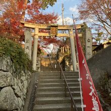 階段すごい。山の方から来たんでこれを降りました。