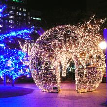 きらめく輝きです！