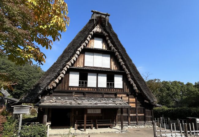 合掌造りの古民家山下家住宅でお蕎麦をいただきました。