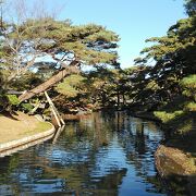 郡山駅から歩いて行ける歴史ある紅葉も綺麗な日本庭園