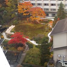 部屋から見えた紅葉の綺麗な内庭です。