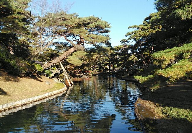 郡山駅から歩いて行ける歴史ある紅葉も綺麗な日本庭園