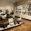 根室市歴史と自然の資料館