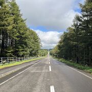 北海道のスケールの大きさが感じられました