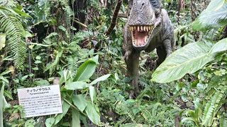 DINO恐竜PARK やんばる亜熱帯の森