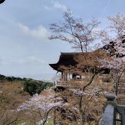 とにかく人、人、人。