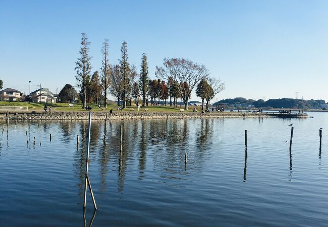 沼の横を歩く