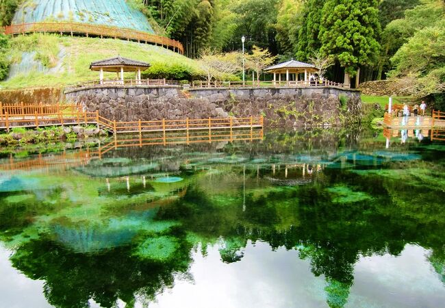 名水百選 数あれど景観は特撰です！　～　霧島山麓丸池湧水（丸池公園）◎