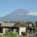 駿府城公園 (駿府城址、紅葉山庭園)