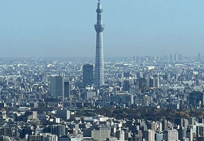 サンシャイン60展望台 てんぼうパーク