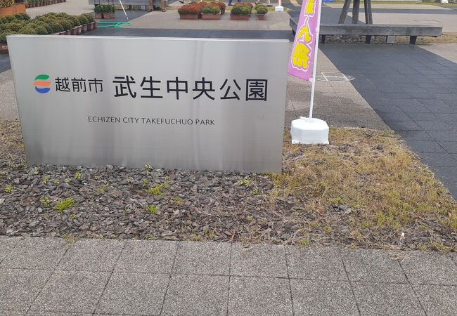 　JR武生駅から徒歩20～25分程度のところに位置するたけふ菊人形の会場となる公園