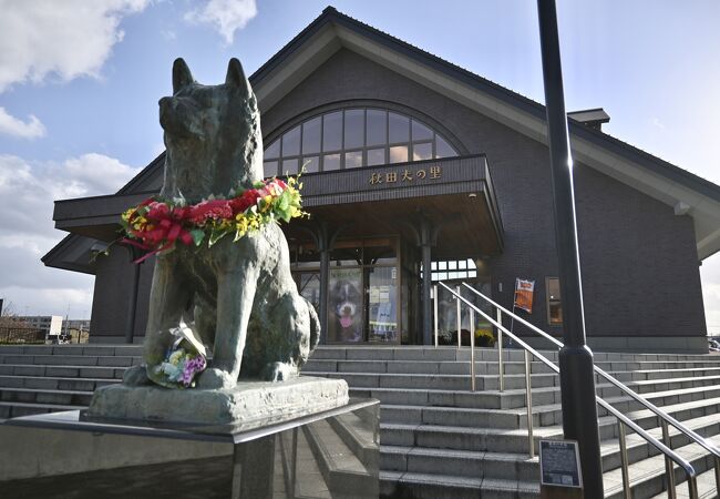 忠犬ハチ公像 (大館駅前)