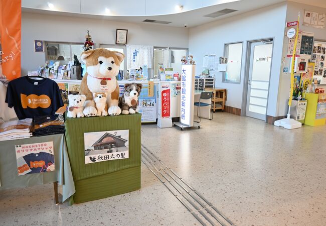 月曜は秋田犬の里は休館日ですが、観光協会が併設されているので入ることはできます
