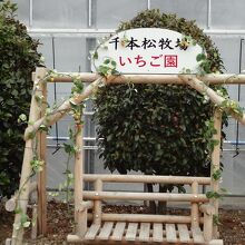 ホウライの那須千本松牧場 いちご園