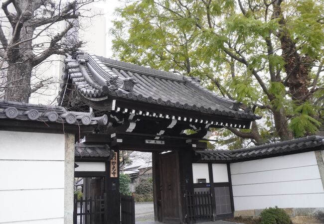 妙光寺