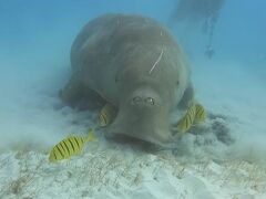 エルリオイマル リゾート 写真