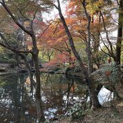 紅葉を楽しめる★京都府立植物園