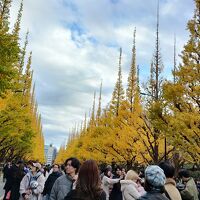 明治神宮外苑いちょう祭り