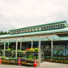 道の駅 すえよし(四季祭市場)